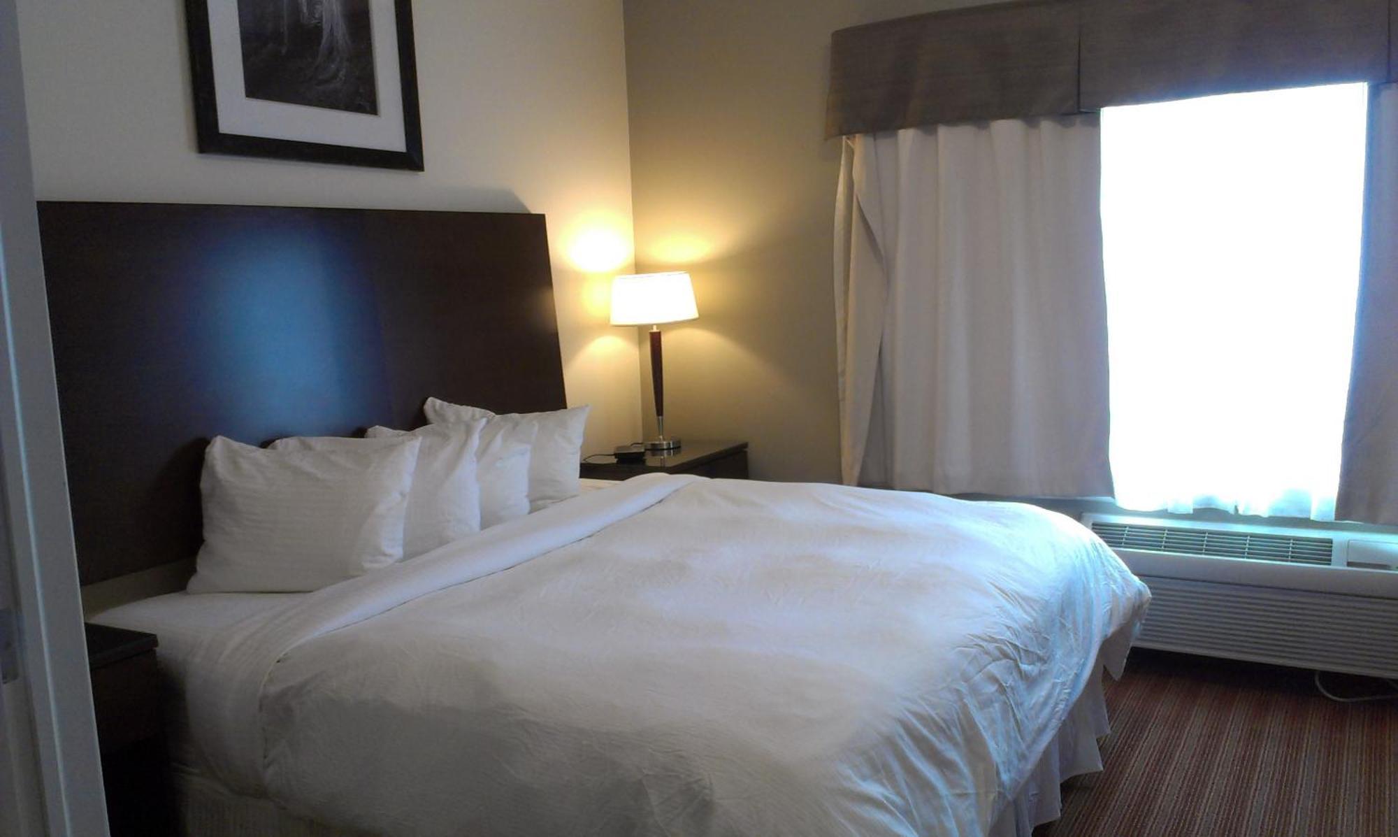 Sigma Inn & Suites Hudson'S Hope Hudsons Hope Ngoại thất bức ảnh